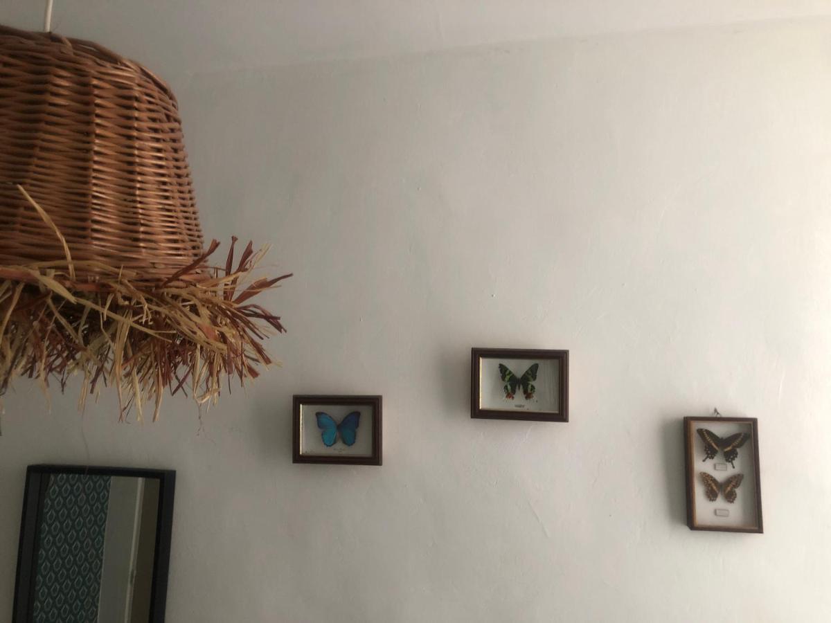 Appt 2 Chambres Au Centre Ville 3E Marseille Ngoại thất bức ảnh